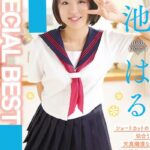 SPECIAL BEST Vol.4 / 菊池はる