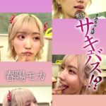 モカちゃんは実はサキュバス！？ Vol.02春陽モカ