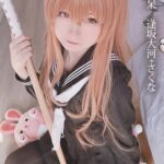 みさ呆呆 逢坂大河＋さくな