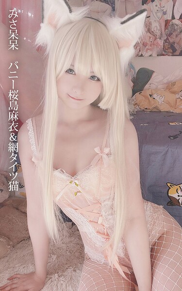 みさ呆呆 バニー桜島麻衣＆網タイツ猫