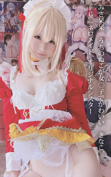 みさ呆呆 うちのねこが女○子でかわいい きなこ、FG○ネロメイド、オリジナルシスター