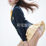 双尾旋風